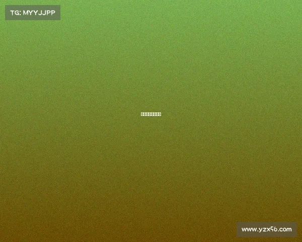 长春市足球锦标赛